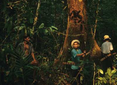 Members of the Kenyah Dayak indigenous group conducting forest surveys in Western Borneo in the early 1990s. 