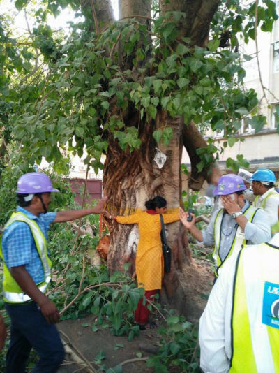 A protester hugs an old tree in Mumbai to prevent it from being cut down for a subway project.